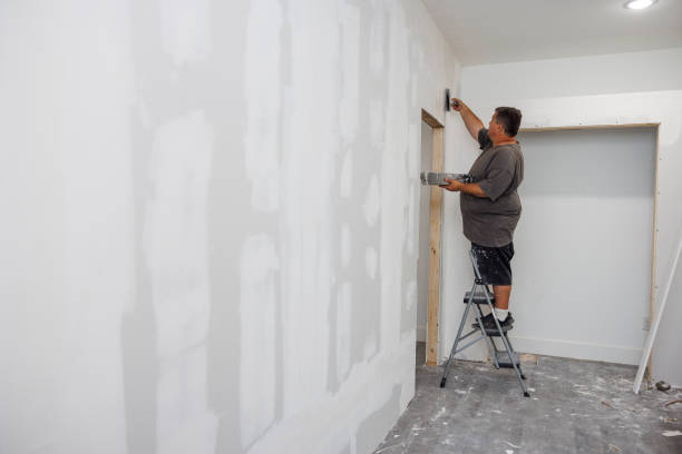 Reliable Willow Springs, MO Mold Removal Solutions