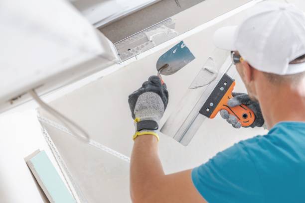 Best Real Estate Mold Inspection  in Willow Springs, MO